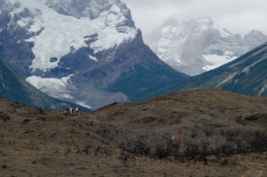 Hikers on land burned in the Torres del Paine National Park by the great fire in 2011-2012. Ultima Esperanza Province. Magallanes and Chilean Antarctic Region. Chile.