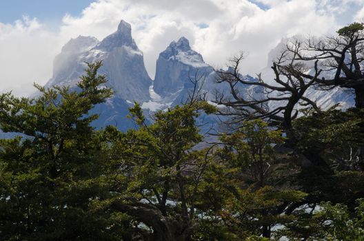 Paine Horns in Torres del Paine National Park. Ultima Esperanza Province. Magallanes and Chilean Antarctic Region. Chile.