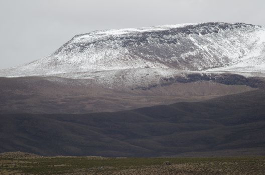 Landscape with snowy mountain in Lauca National Park. Arica y Parinacota Region. Chile.