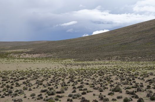 Plateau and hill in Lauca National Park. Arica y Parinacota Region. Chile