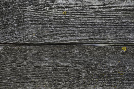 Old wooden texured surface closeup. Moss and relief on surface. Stock photo of old wooden pattern of aged boards with moss. Brown and gray colors on photo.