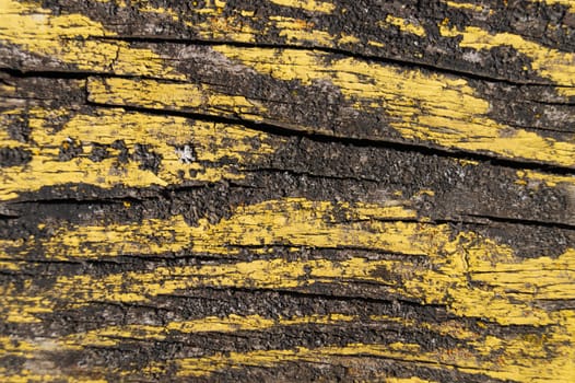 A part of old yellow wooden fence. The yellow paint on wood is old and cracked. Perfect painted wooden texture.