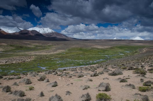High plateau and mountains in Lauca National Park. Arica y Parinacota Region. Chile.