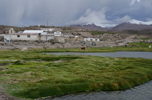 Village of Parinacota in Lauca National Park. Arica y Parinacota Region. Chile.
