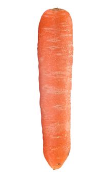 An Isolated Organic And Ugly Carrot