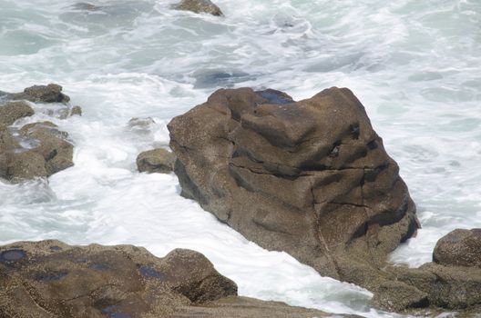 Rocky coast in Las Cuevas. Arica. Arica y Parinacota Region. Chile.