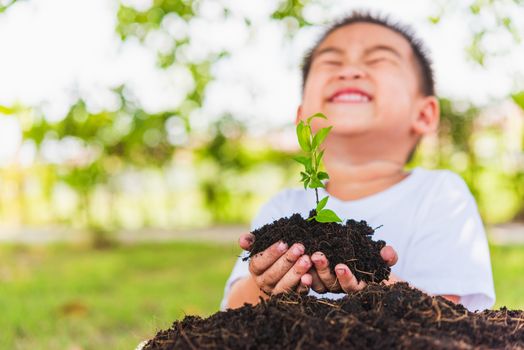 World Environment Day Environment Concept, Hand of Asian cute little cheerful child boy holding young tree on black soil ready to plan on green garden background