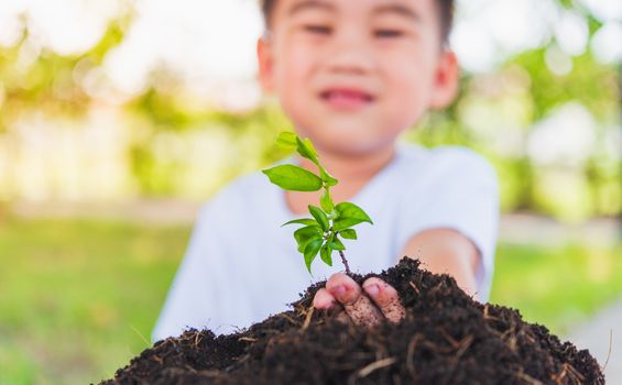 World Environment Day Environment Concept, Hand of Asian cute little cheerful child boy planting young tree on black soil on green garden background