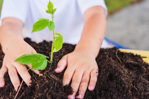 World Environment Day Environment Concept, Hand of Asian cute little cheerful child boy planting young tree on black soil on green garden background