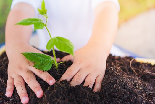 World Environment Day Environment Concept, Hand of Asian cute little cheerful child boy planting young tree on black soil on green garden background