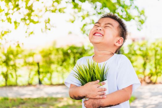 World Environment Day Environment and Save World Concept, Hand of Asian cute cheerful little child boy holding young tree on white pot on green garden background