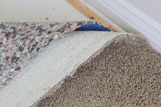 Pulled Back Carpet and Padding In Room of House.