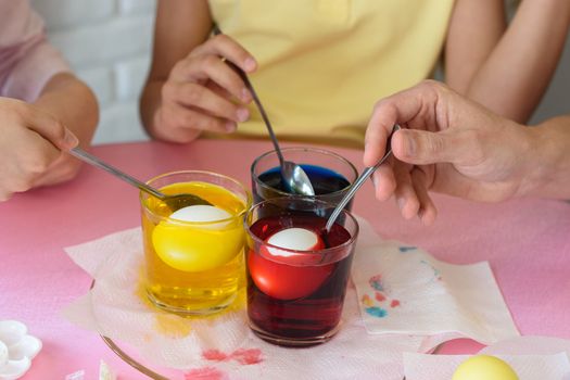 Family dipped chicken eggs in a food coloring solution