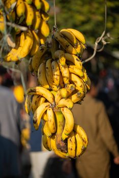 Fresh Bananas are displayed in the market