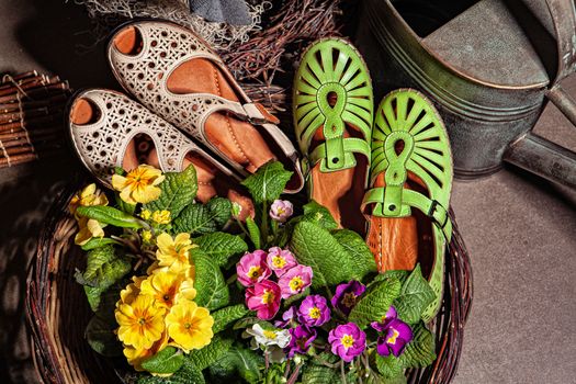 Different shoes with accessories on a studio background