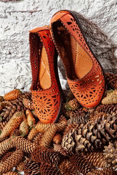 Different shoes with accessories on a studio background
