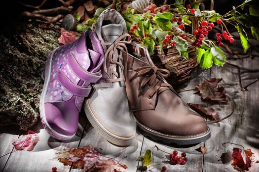 Different shoes on an old wooden background