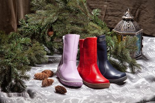 Different shoes and new year tree on a studio background