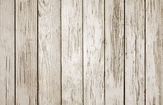 The brown wood textured background with woodgrain detail