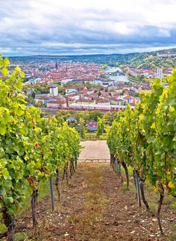 Old town of Wurzburg view from the vineyard hill, Bavaria region of Germany
