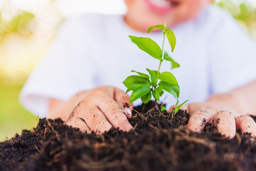 World Environment Day Environment and Save World Concept, Hand of Asian cute cheerful little child boy planting young tree on black soil on green garden background