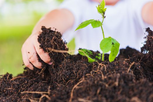 World Environment Day Environment Concept, Hand of Asian cute little cheerful child boy planting young tree on black soil on green garden background