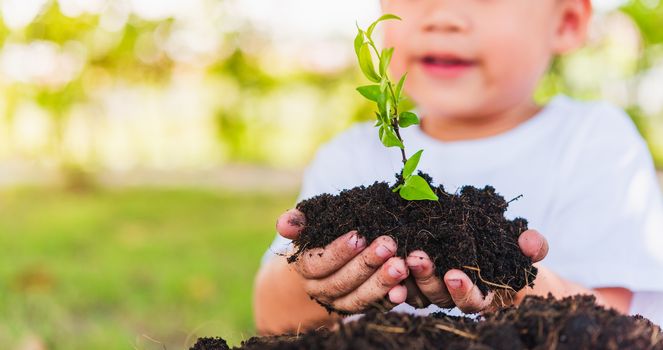 World Environment Day Environment Concept, Hand of Asian cute little cheerful child boy holding young tree on black soil ready to plan on green garden background