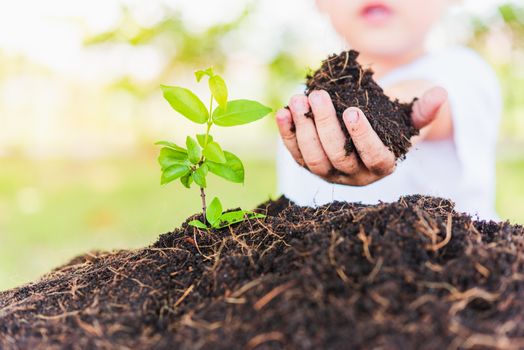 World Environment Day Environment and Save World Concept, Hand of Asian cute cheerful little child boy planting young tree on black soil on green garden background