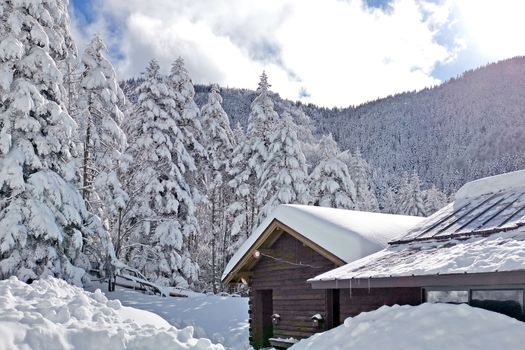 The wooden house, trees with snow in Japan mountains