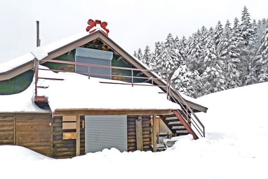 The wooden house, trees with snow in Japan mountains