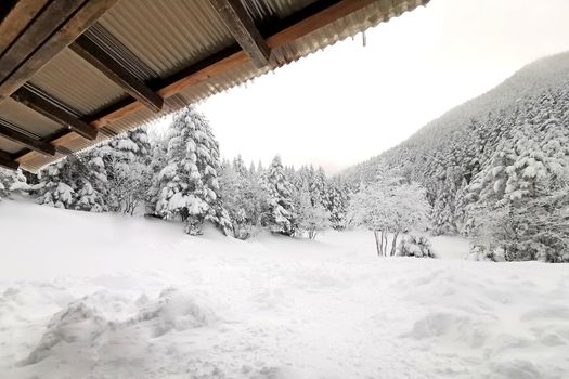The house roof, natural snow hill in Japan Yatsugatake mountains
