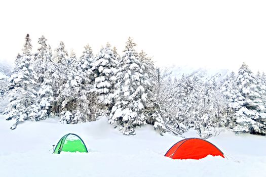 The red and green tents, natural snow hill in Japan Yatsugatake mountains
