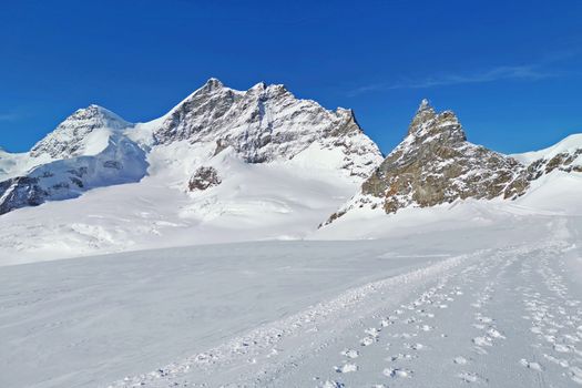 The peak of Switzerland Grindelawld snow mountain with blue sky
