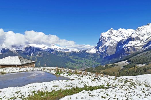 The peak of Switzerland Grindelawld snow mountain with cloud and wooden house