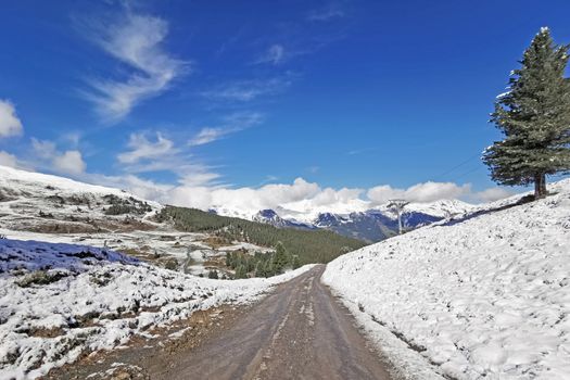 The peak of Switzerland Grindelawld snow mountain with blue sky and footpath
