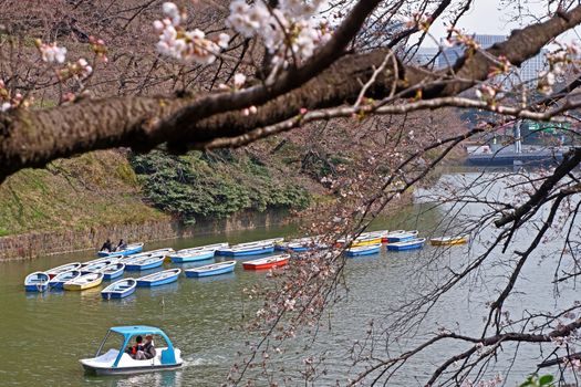 The Japan outdoor park river with colorful sight seeing boat in sunny day