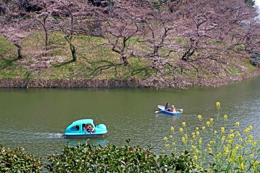 The Japan outdoor park river with colorful sight seeing boat in sunny day