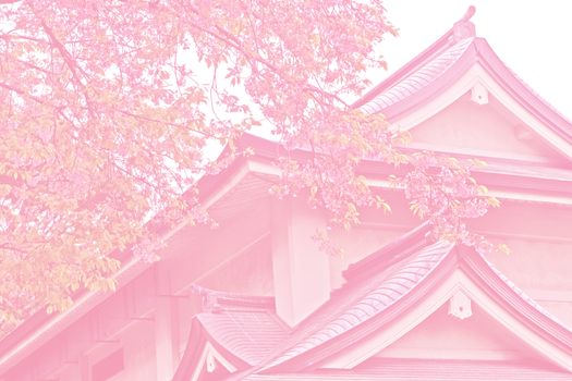 Pink tone sakura cherry blossom flower, tree and traditional building in Tokyo park, Japan