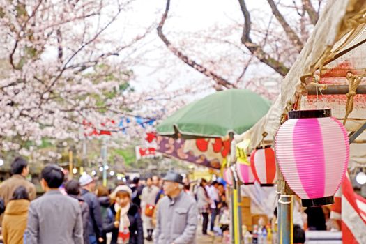 Beautiful pink sakura cherry blossom flowers and trees in Japan Tokyo outdoor market
