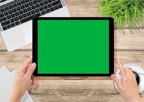 Laptop, plants, coffee on office wooden desk, human hand holding tablet with green screen for video production