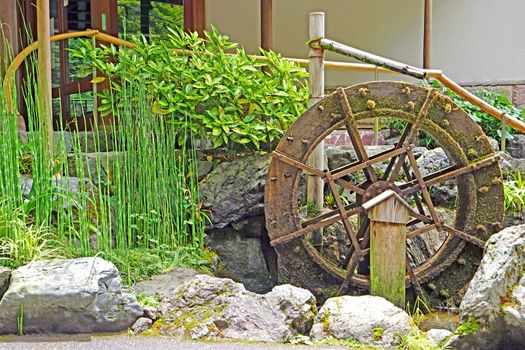 The traditional Japan zen garden with plant and decoration