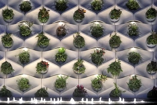 The vertical outdoor plant deocration on the wall with lighting