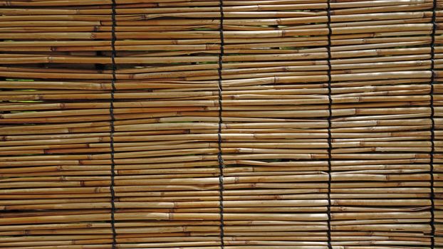 The natural bamboo textured wall background in outdoor garden