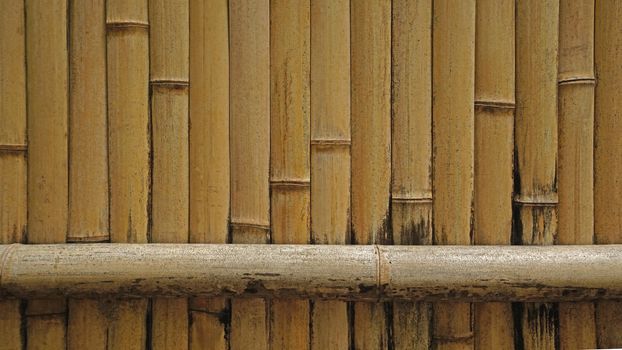 The natural bamboo textured wall background in outdoor garden