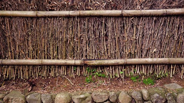 The natural bamboo textured wall background in outdoor garden
