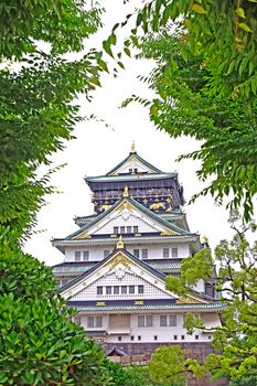 The Japan Osaka landmark historical castle architectural with green tree