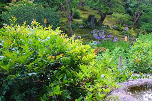 The outdoor stone decoration, green plants and pavilion in the Japanese zen garden