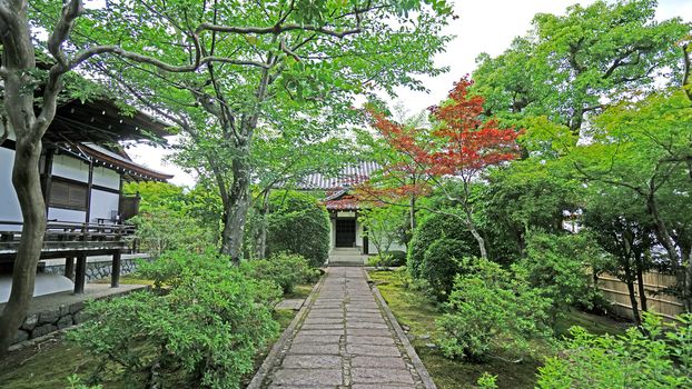 The outdoor footpath, green plants and pavilion in the Japanese zen garden