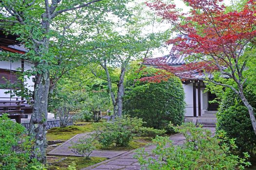 The outdoor footpath, green plants and pavilion in the Japanese zen garden