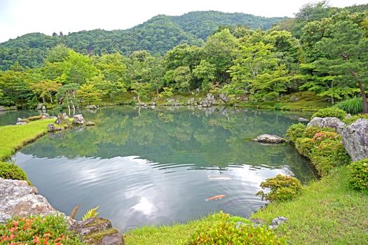 The green plants,  trees, mountain, fish, lake with reflection in the Japan zen garden